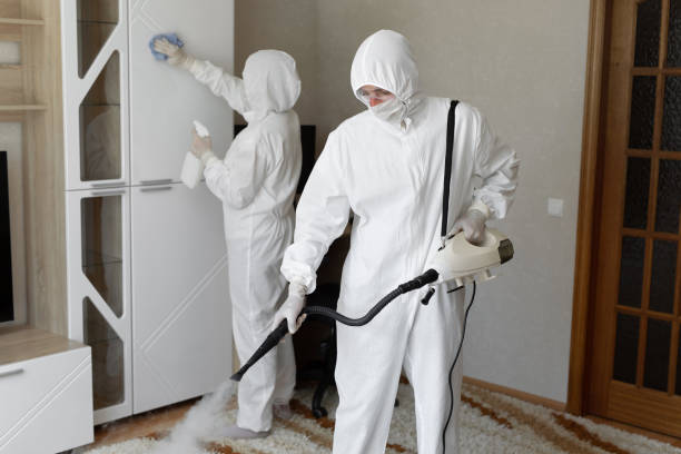 Best Commercial Mold Inspection  in USA